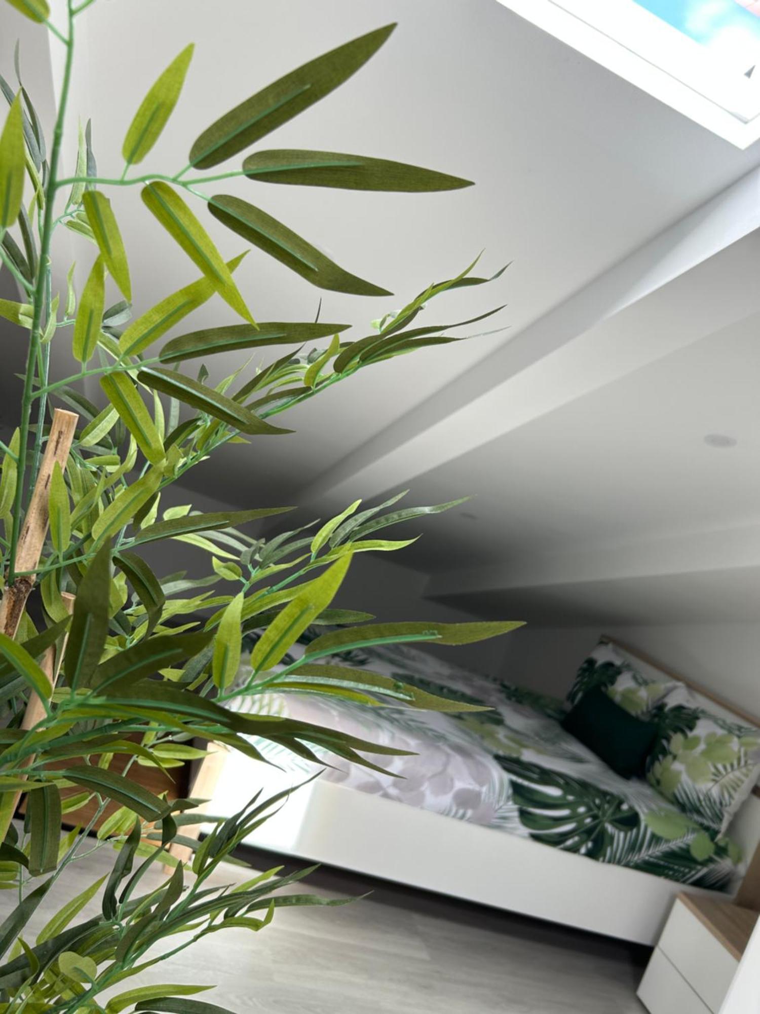 Loft Waves *