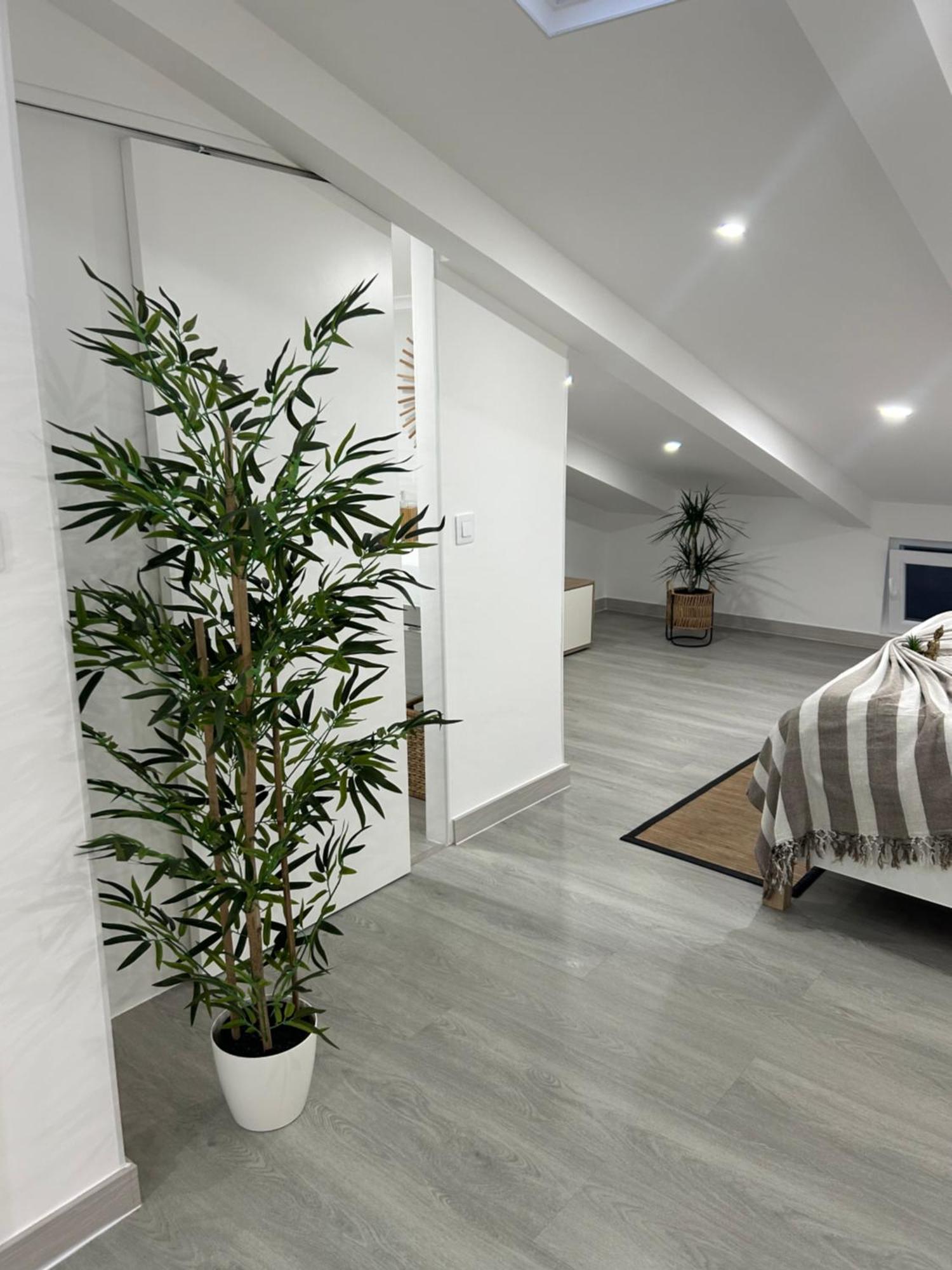 Loft Waves Apartment