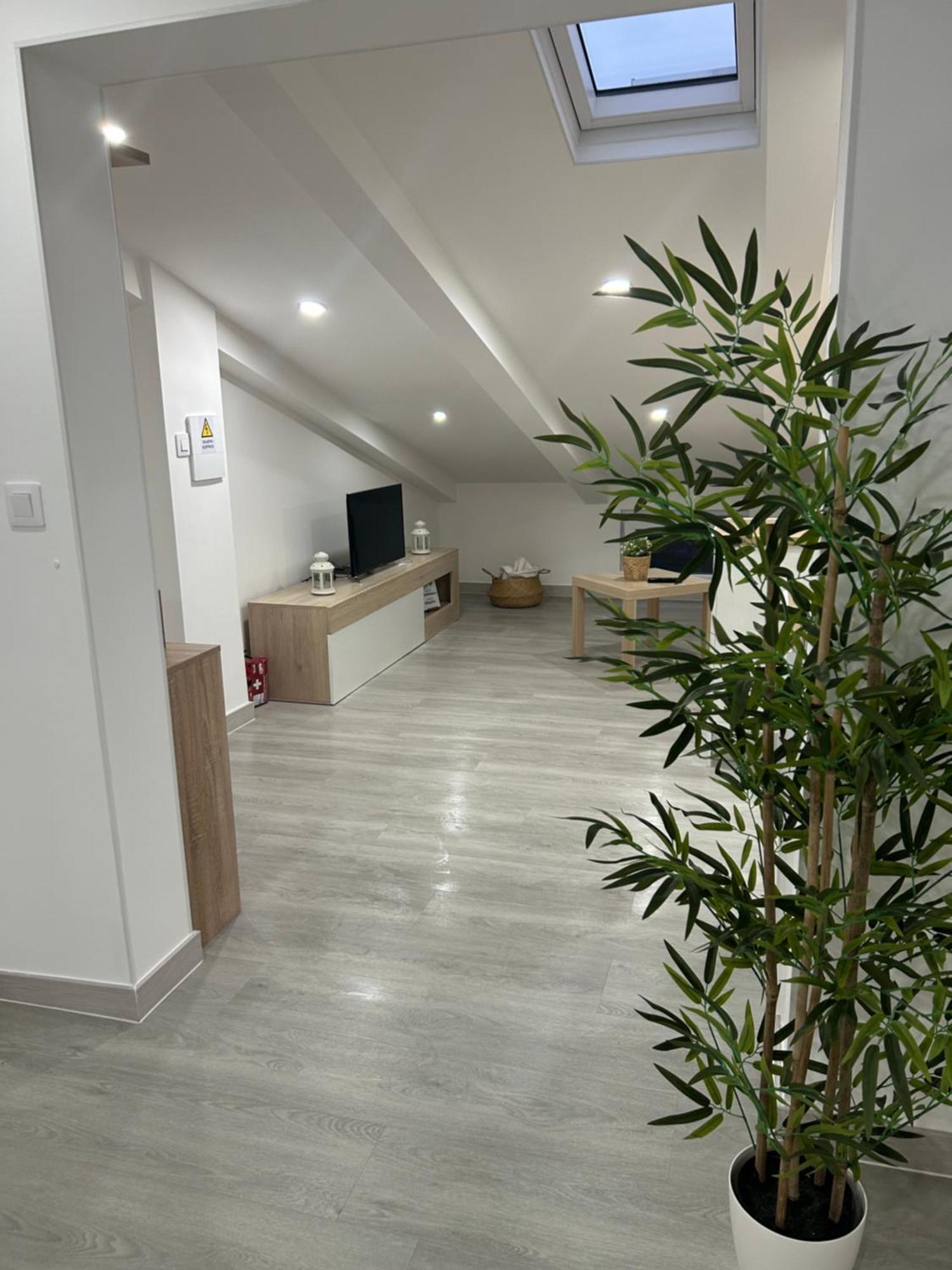 Apartment Loft Waves